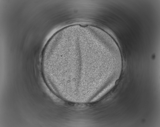 X0000116601099200912312052