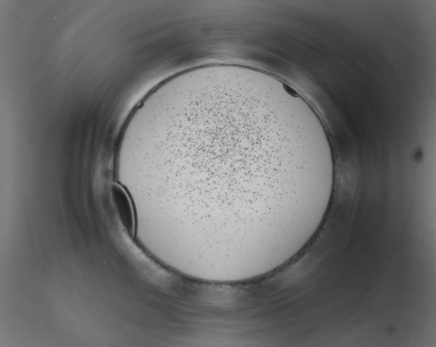 X0000116601100200912312052