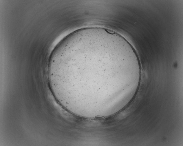 X0000116601101200912312052