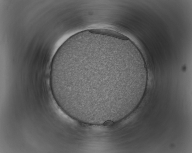 X0000116601102200912312052