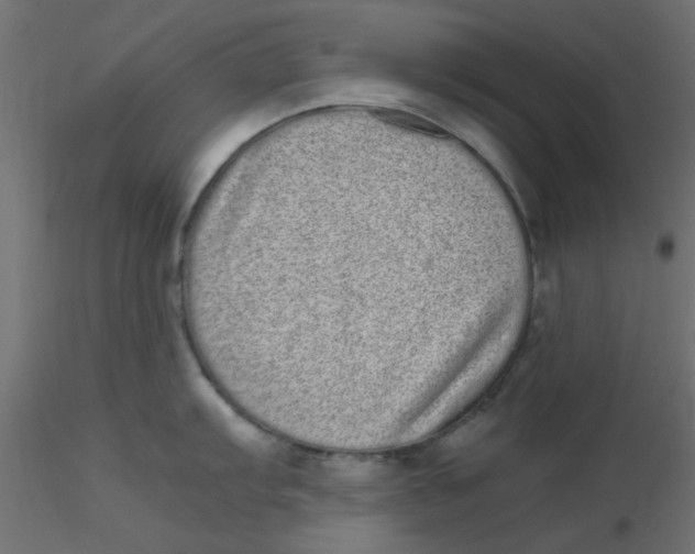 X0000116601103200912312052