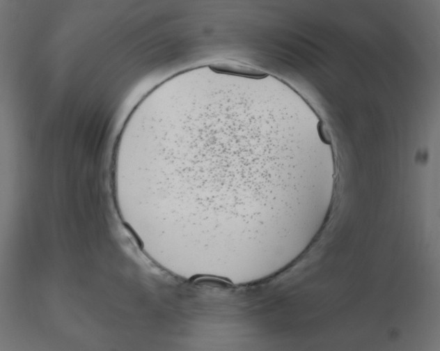 X0000116601104200912312052