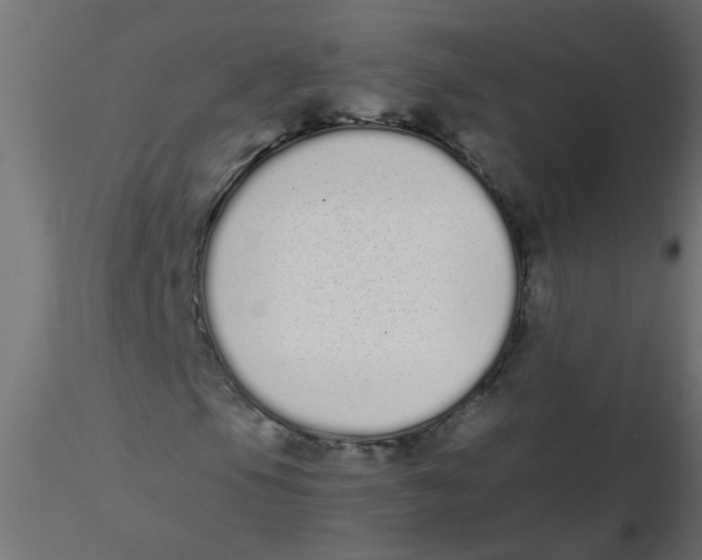 X0000116601105200912312051