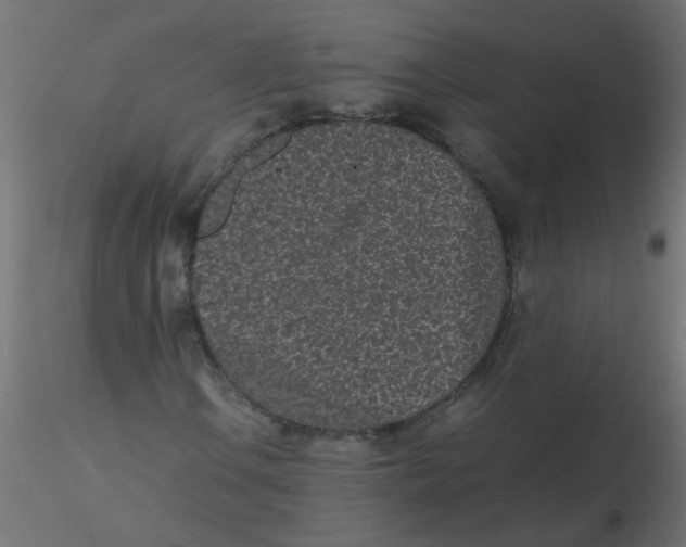 X0000116601106200912312051