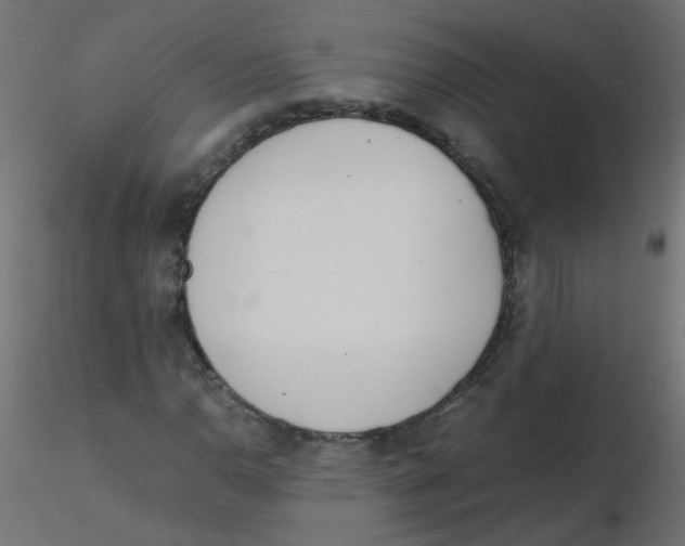 X0000116601110200912312051