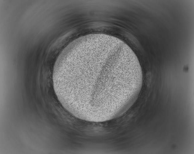 X0000116601111200912312051