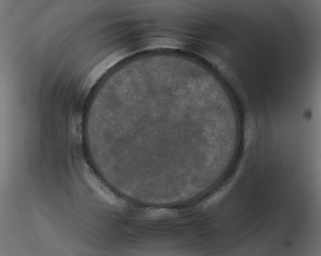 X0000116601113200912312051