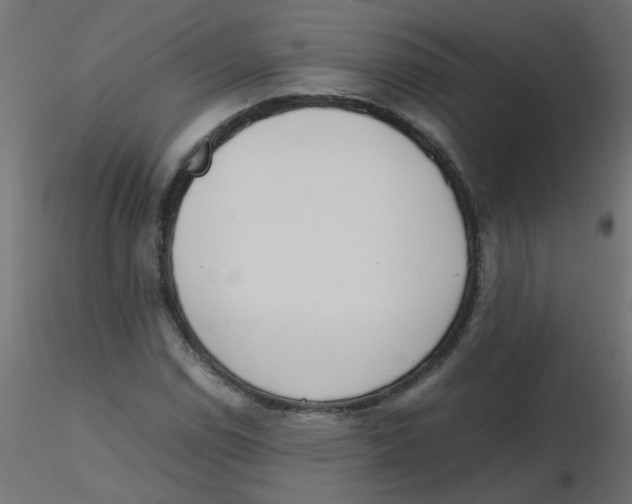 X0000116601114200912312051