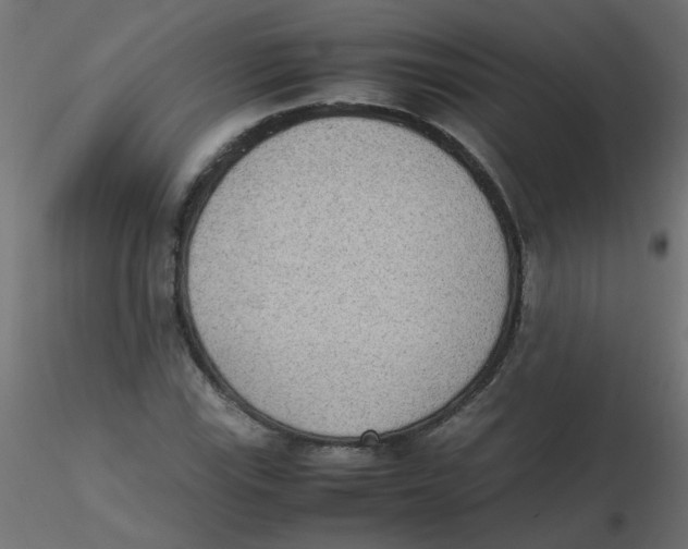 X0000116601115200912312051