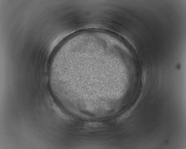 X0000116601117200912312051