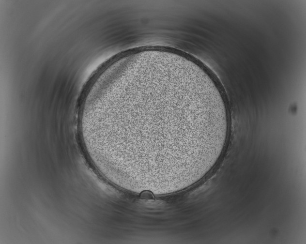 X0000116601119200912312051