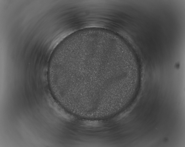 X0000116601121200912312051