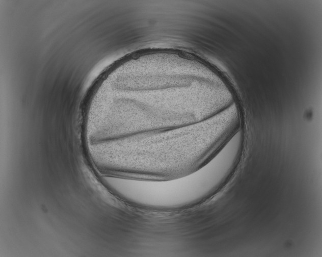 X0000116601122200912312051