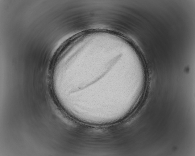 X0000116601125200912312051