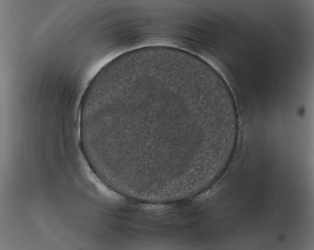 X0000116601127200912312051