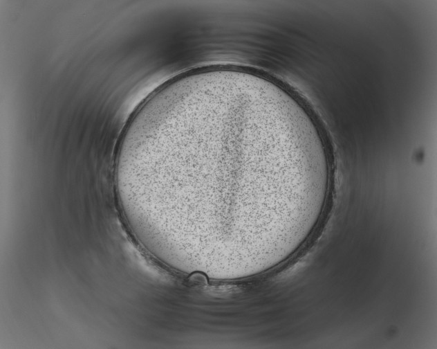 X0000116601129200912312051