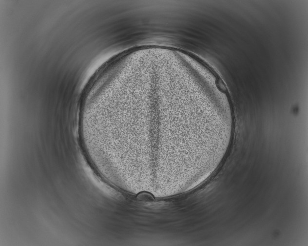 X0000116601131200912312051