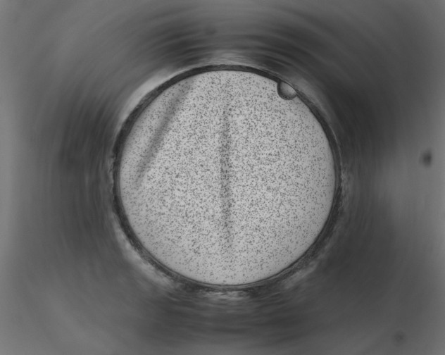 X0000116601133200912312051