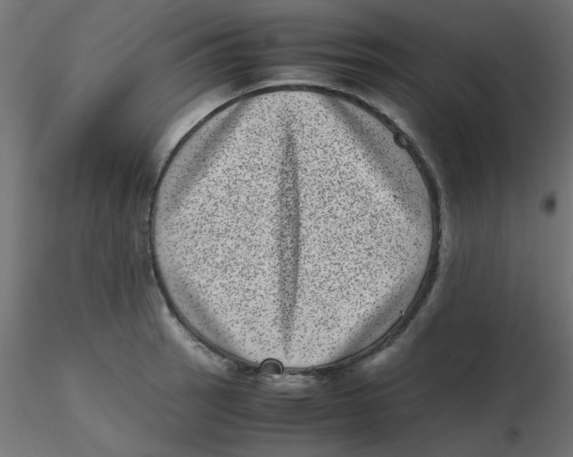 X0000116601137200912312051