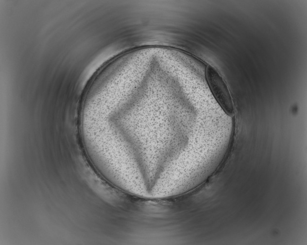 X0000116601138200912312051