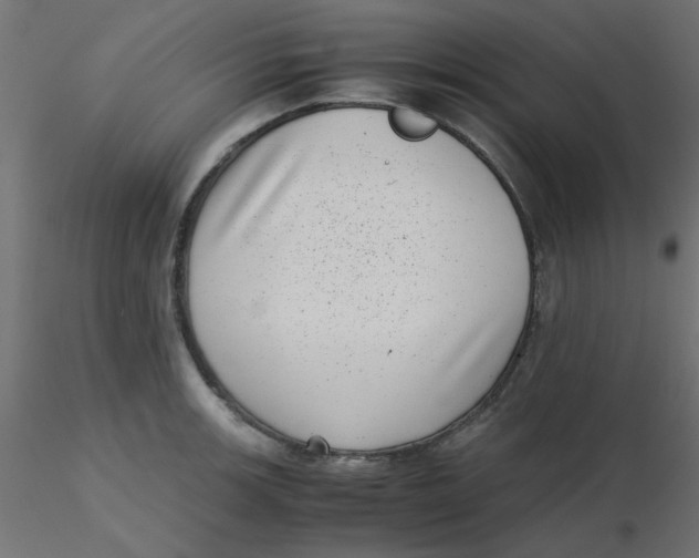 X0000116601139200912312051