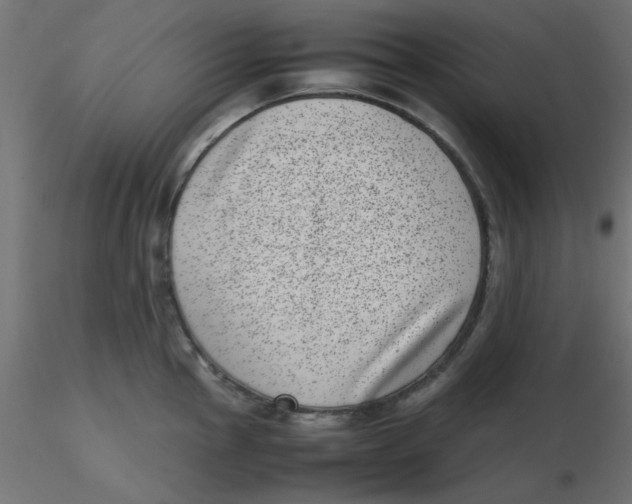 X0000116601145200912312051