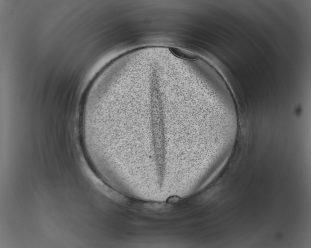 X0000116601147200912312051