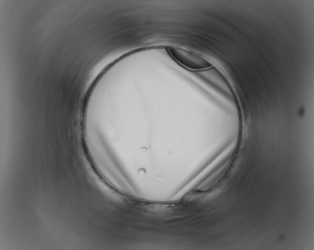 X0000116601149200912312051