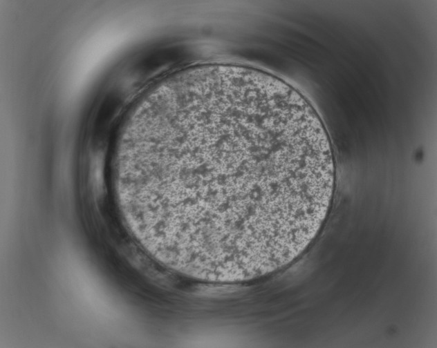 X0000116601150200912312052