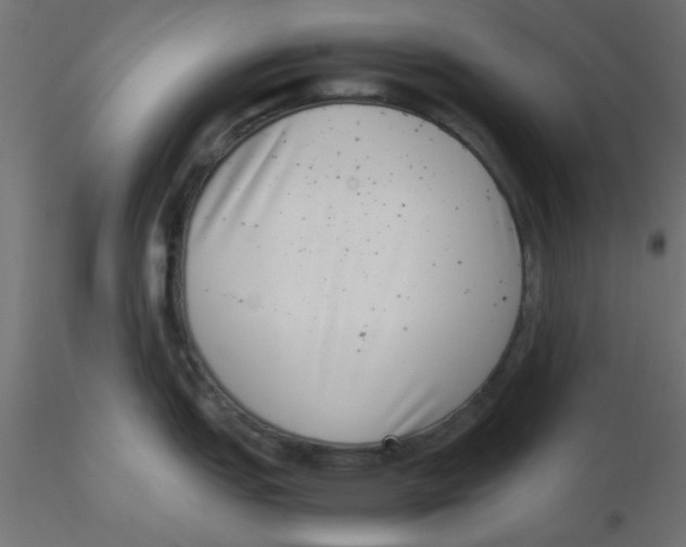 X0000116601151200912312052