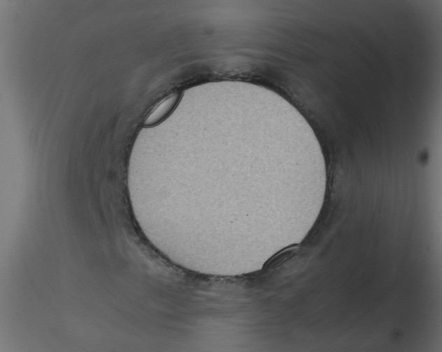 X0000116601153200912312051