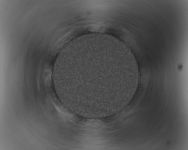 X0000116601154200912312051