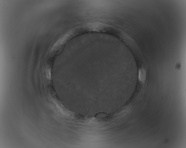 X0000116601155200912312051