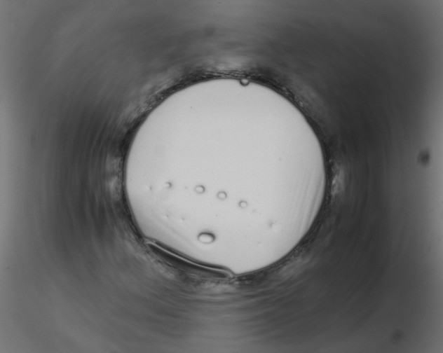 X0000116601156200912312051