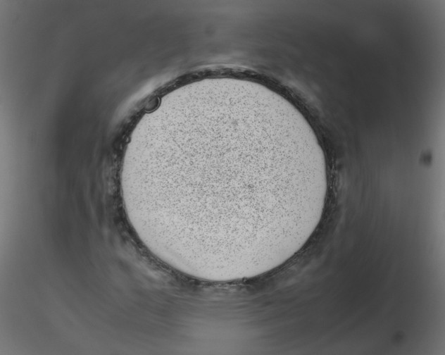 X0000116601159200912312051