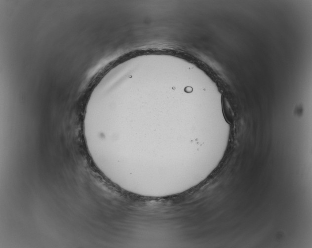 X0000116601160200912312051