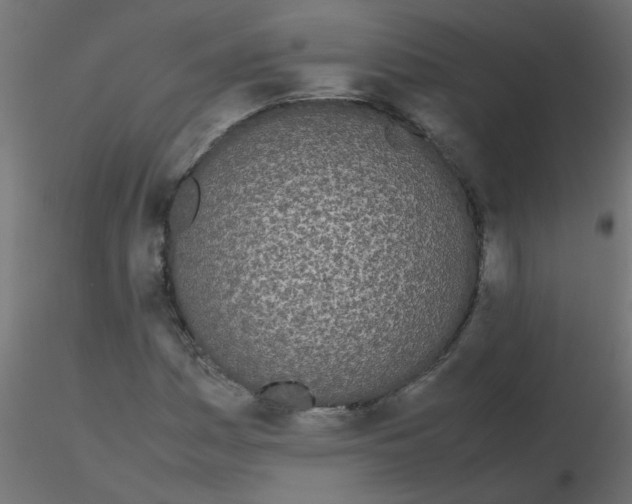 X0000116601161200912312051