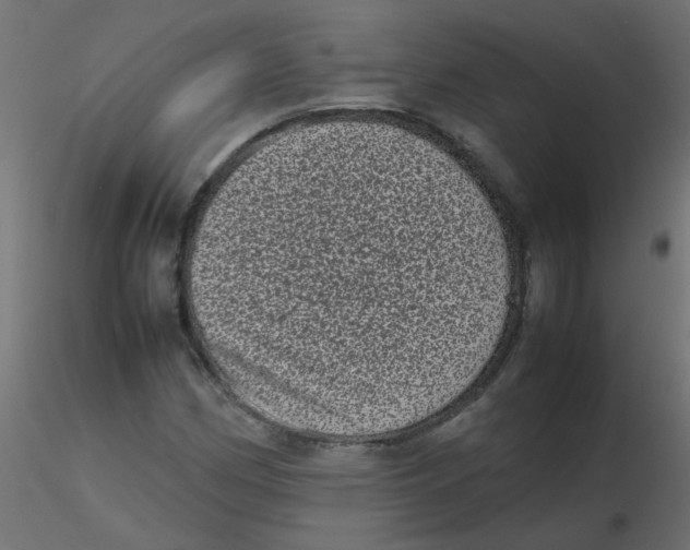 X0000116601162200912312051