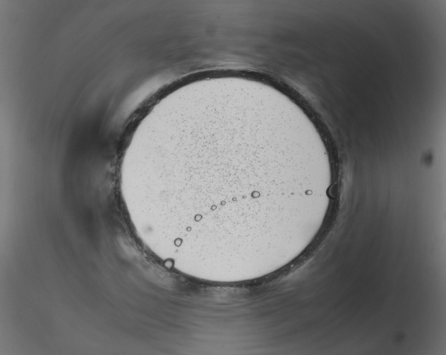 X0000116601163200912312051