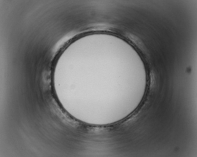 X0000116601164200912312051