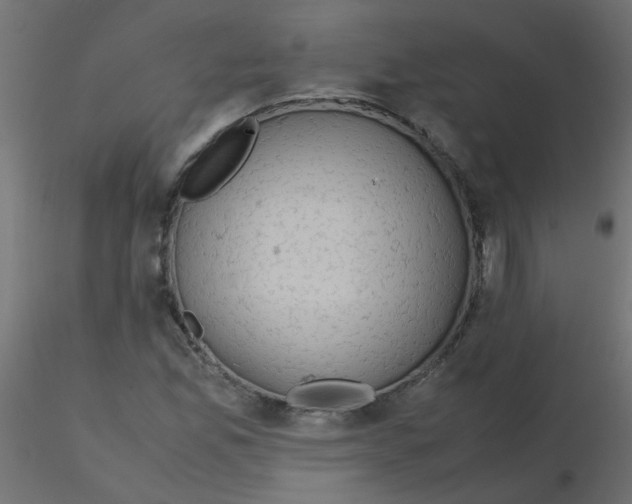 X0000116601165200912312051