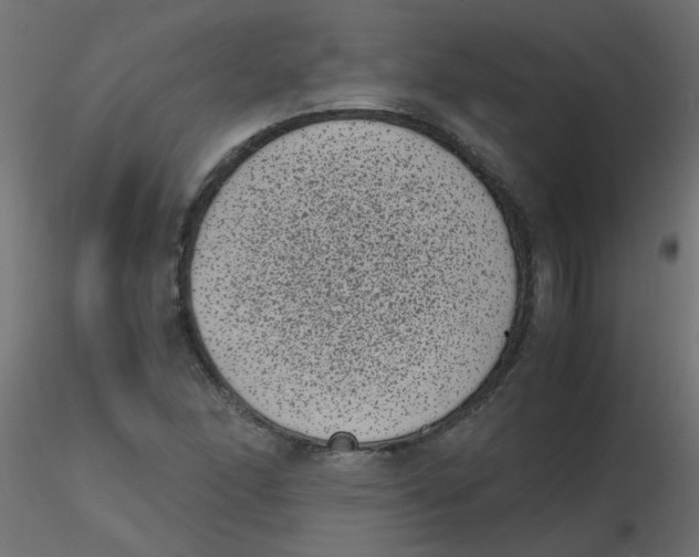 X0000116601166200912312051