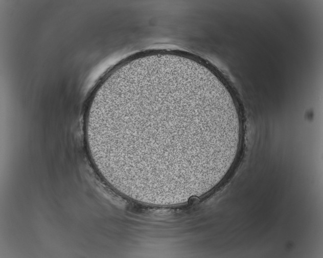 X0000116601167200912312051