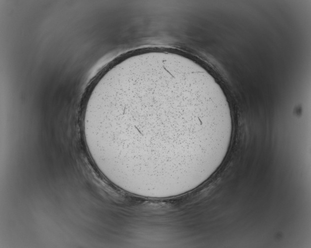 X0000116601168200912312051