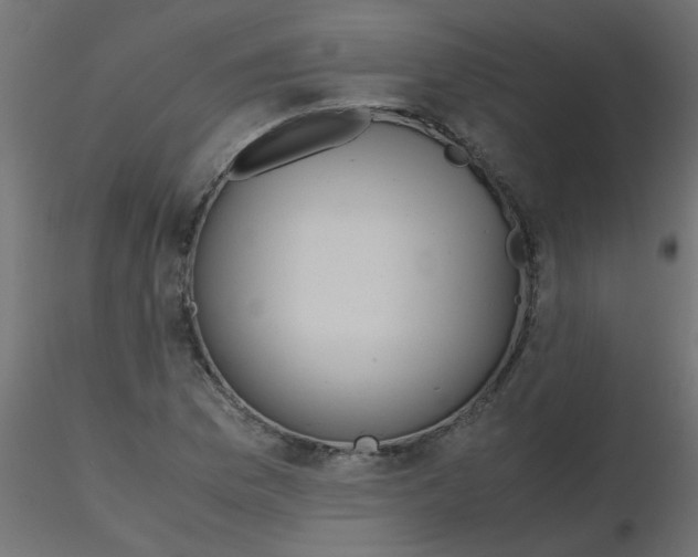 X0000116601169200912312051