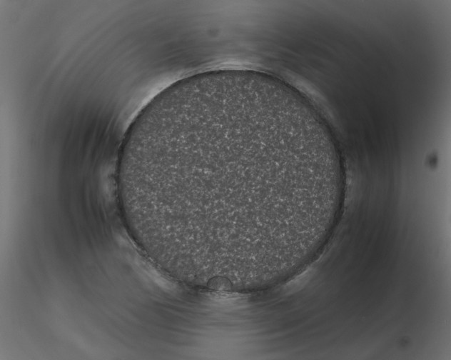 X0000116601170200912312051