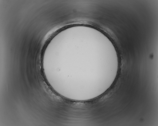 X0000116601172200912312051