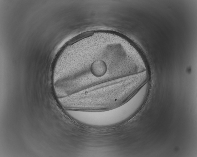 X0000116601173200912312051