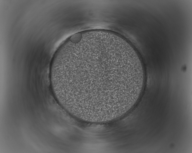 X0000116601174200912312051