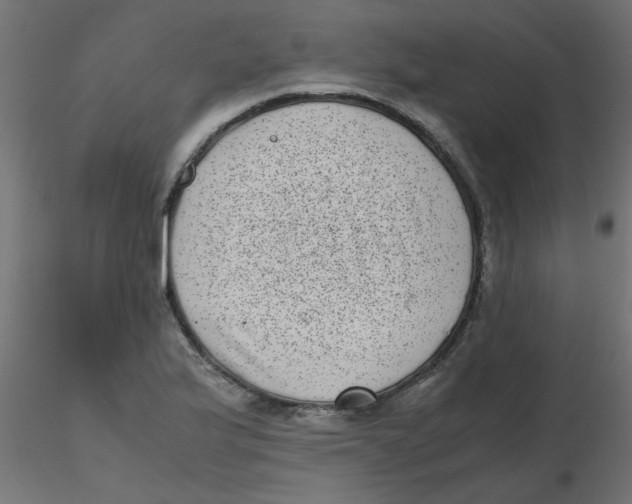 X0000116601175200912312051